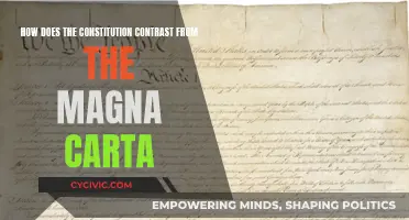 A Historic Contrast: Magna Carta vs Constitution
