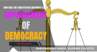The Constitution: Foundation of Democracy's Evolution