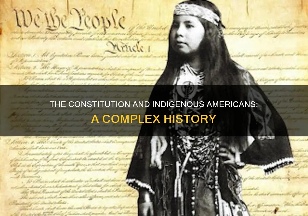 how does the constitution deal with american indians