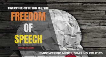 The Constitution and Freedom of Speech: A Complex Relationship
