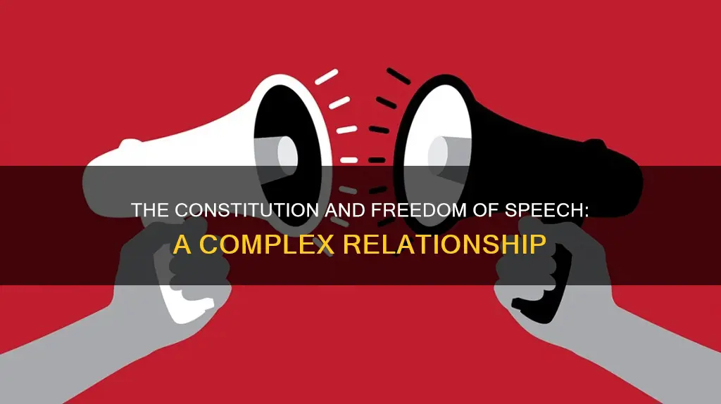 how does the constitution deal with freedom of speech