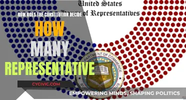 Representatives: Deciding Numbers in the Constitution