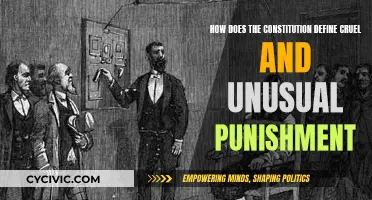 Understanding the Constitution's Eighth Amendment
