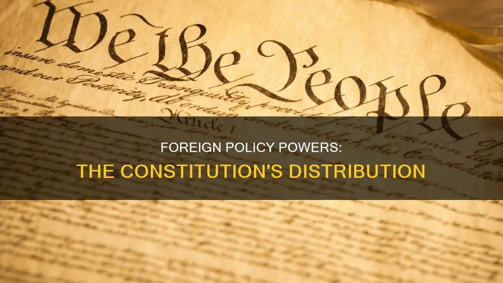 how does the constitution distribute the responsibility for foreign policy