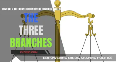 Dividing Power: The Constitution's Three-Branch System