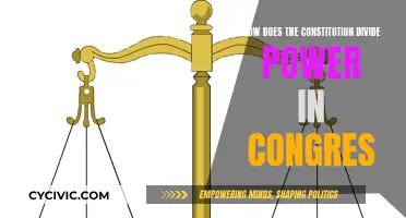 Dividing Power: Congress and the Constitution