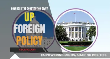 Foreign Policy Powers: The US Constitution's Divide