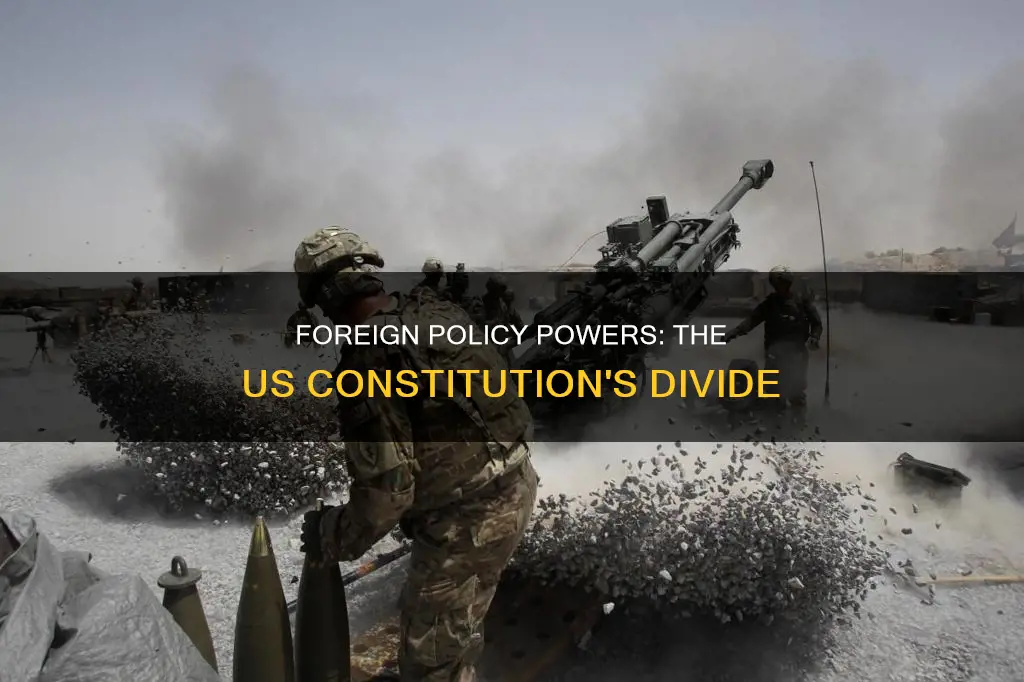 how does the constitution divvy up foreign policy