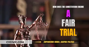 The Constitution: Ensuring Fair Trials