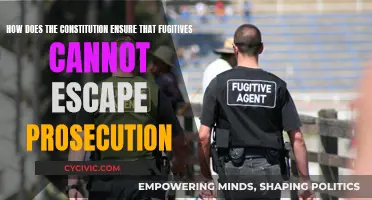 Fugitives and the Constitution: No Escape from Prosecution