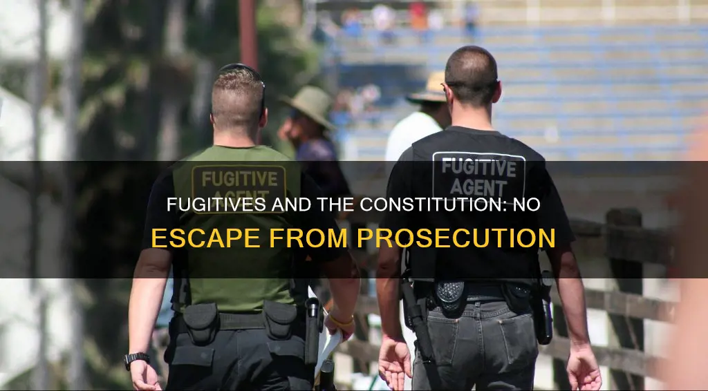 how does the constitution ensure that fugitives cannot escape prosecution
