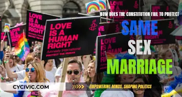 The Constitution's Failure to Protect Same-Sex Marriage