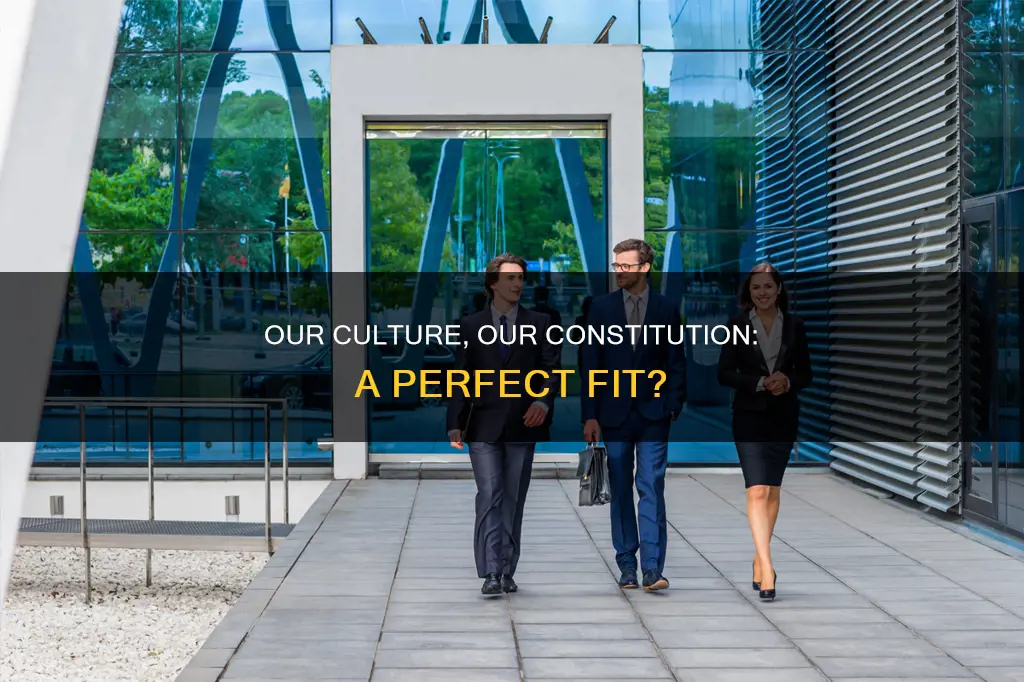 how does the constitution fit in with our culture
