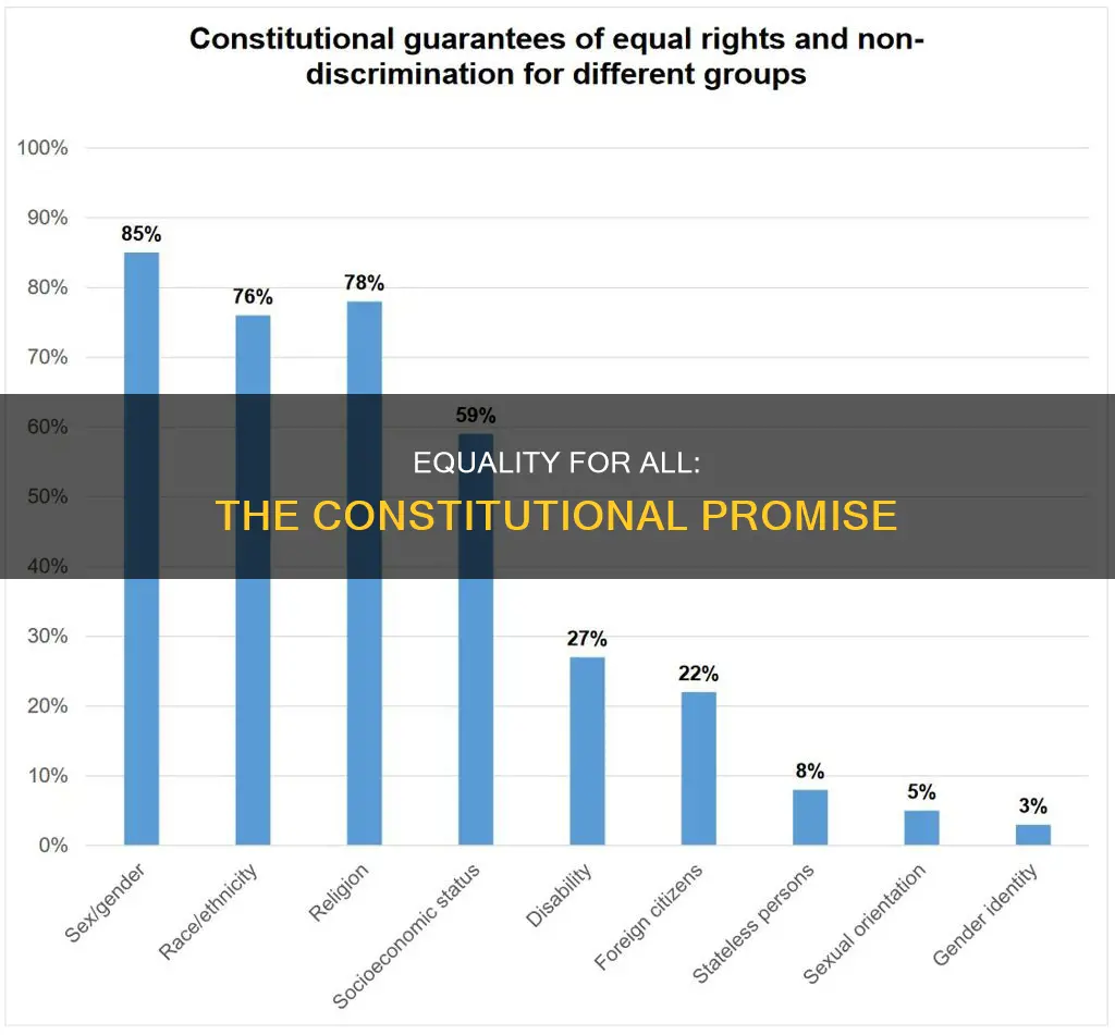 how does the constitution guarantee equality of all persons