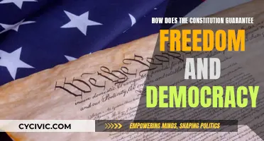 The Constitution: Our Freedom and Democracy's Guardian