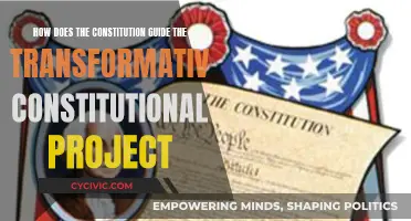 Constitution's Guide to Transformative Constitutional Project
