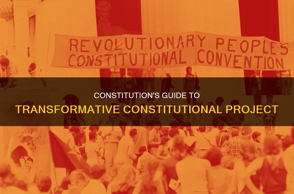 how does the constitution guide the transformative constitutional project