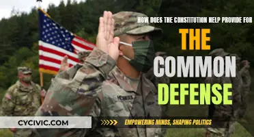 The Constitution: Ensuring Our Common Defense