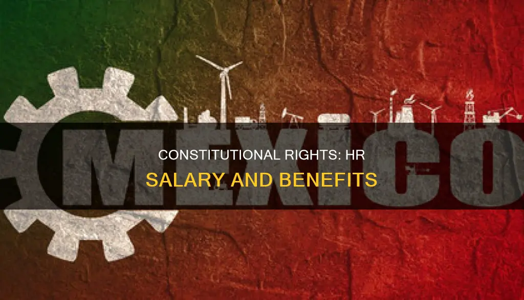 how does the constitution impact hr salary or benefits