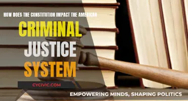 The Constitution's Influence on American Criminal Justice