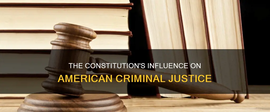 how does the constitution impact the american criminal justice system