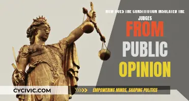 The Constitution's Shield: Judges and Public Opinion