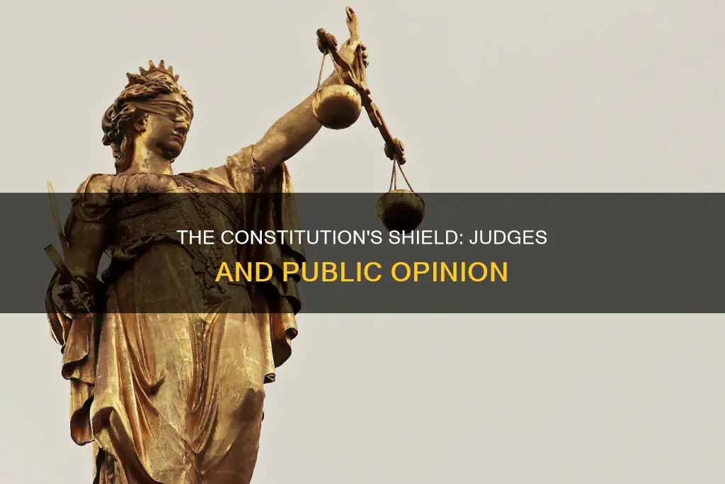 how does the constitution insulated the judges from public opinion