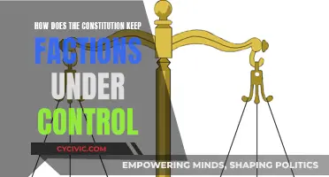 The Constitution: Controlling Factions