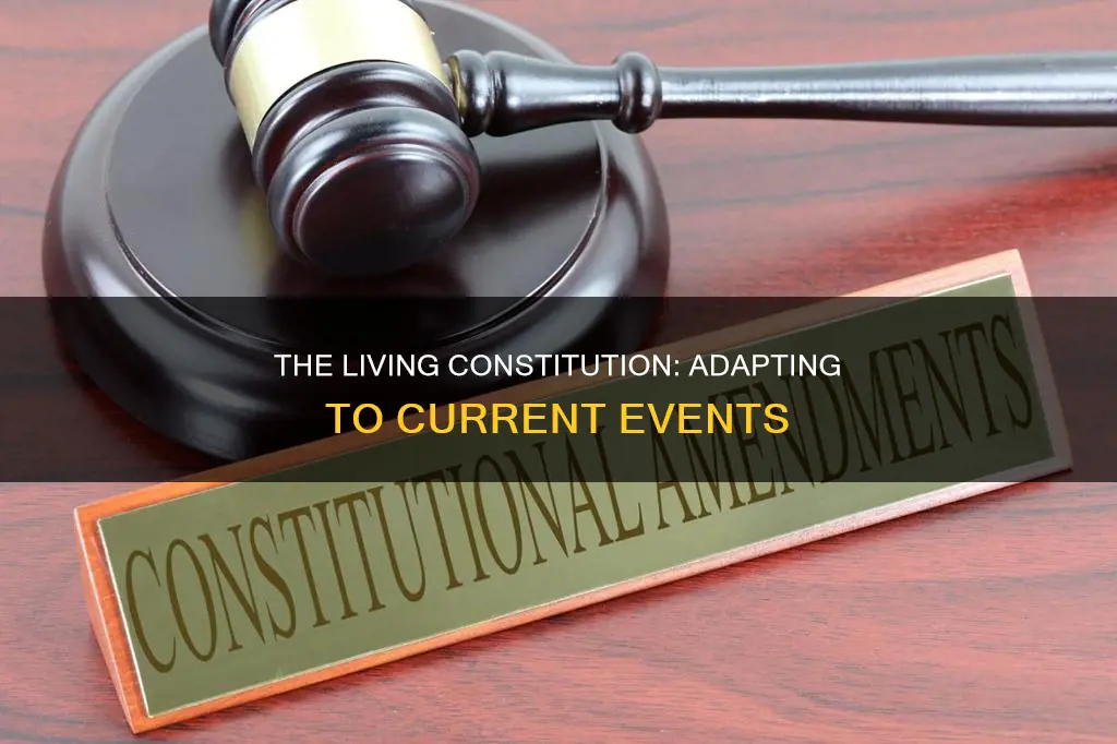 how does the constitution keep up with current events