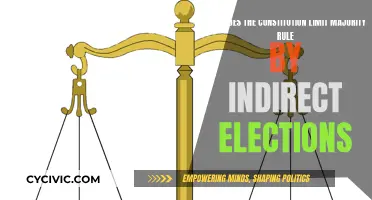 Checks and Balances: Indirect Elections' Role