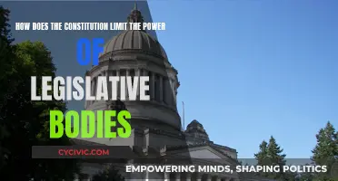 Legislative Powers: Constitutional Limits Explained