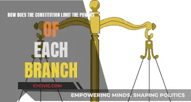 The Constitution: Balancing Powers, Limiting Government Reach