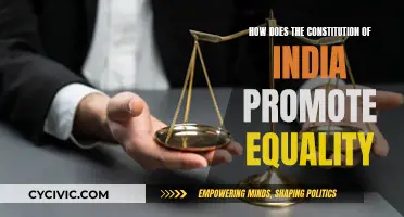 The Indian Constitution: Equality Promoter and Enforcer