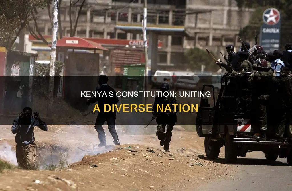 how does the constitution of kenya deal with ethnicity