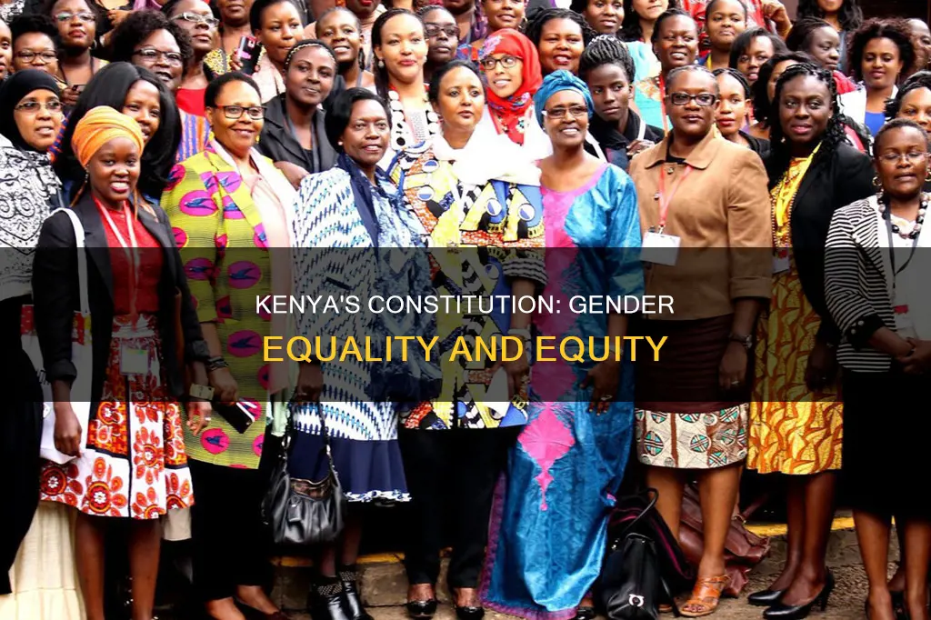 how does the constitution of kenya deal with gender