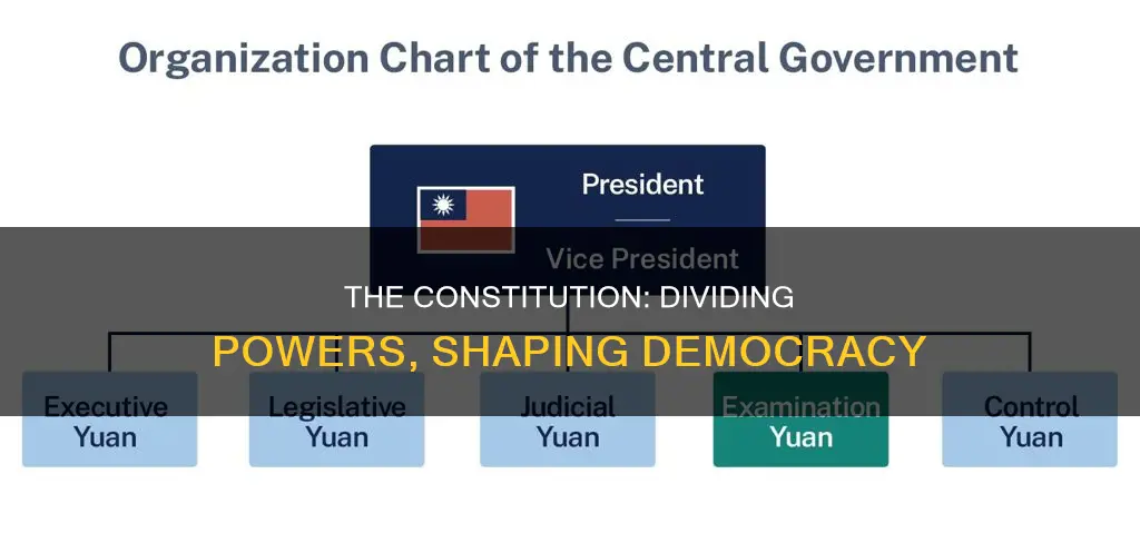 how does the constitution organize hte three branches
