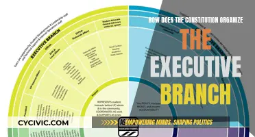 Executive Branch: Constitution's Design for Governance
