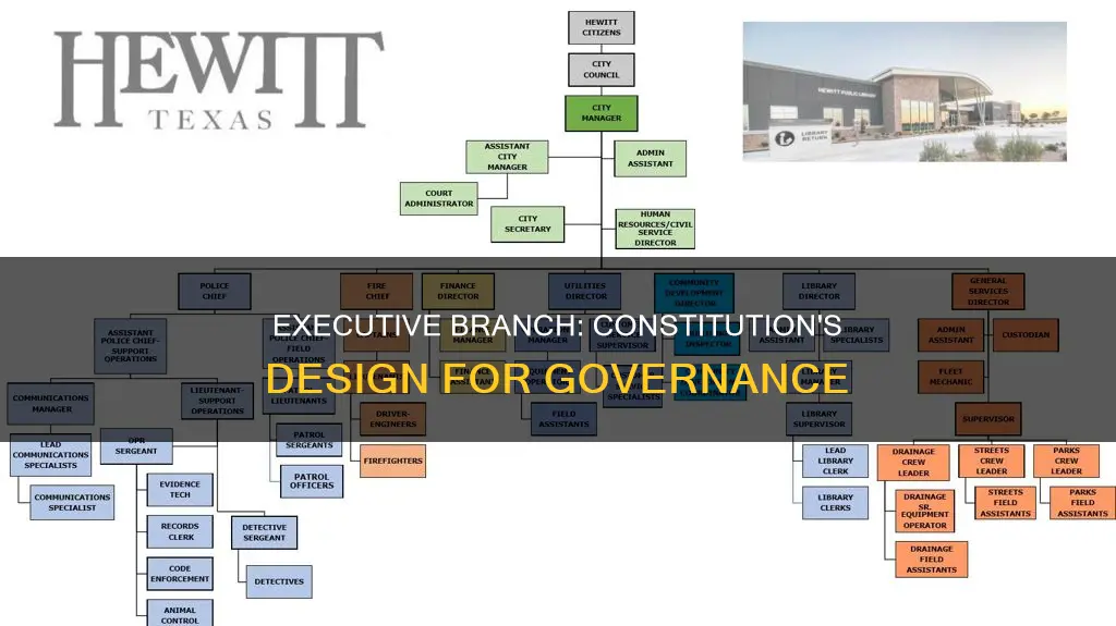 how does the constitution organize the executive branch
