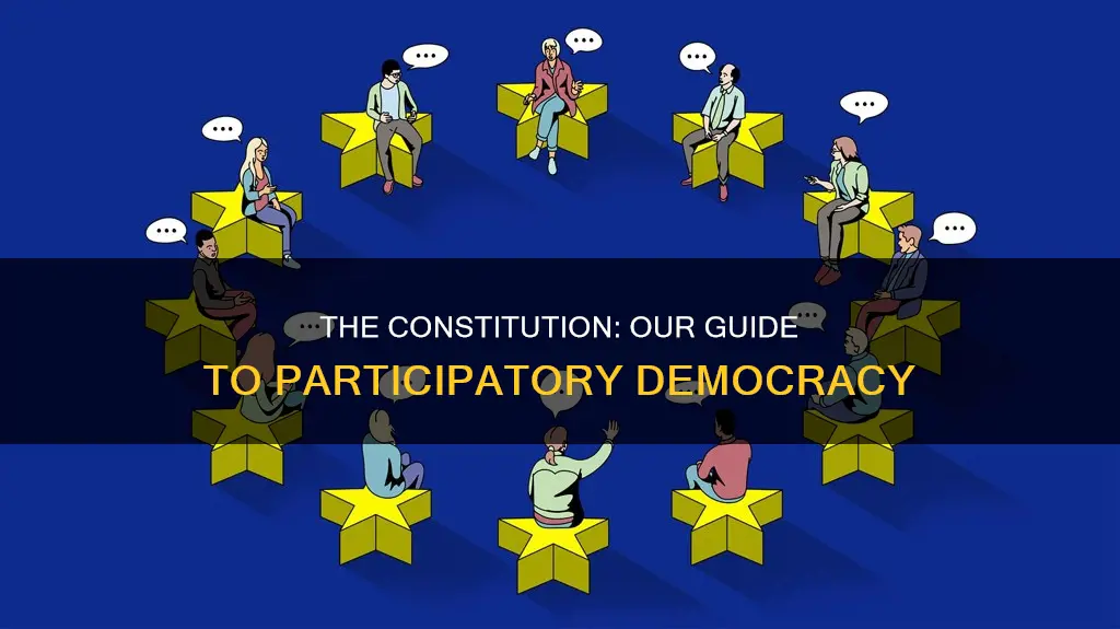 how does the constitution outline a participatory democracy