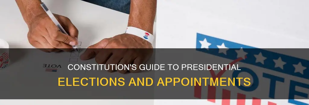 how does the constitution outline presidential elections and placement