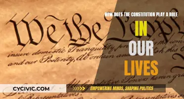 The Constitution: Our Lives, Our Rules, Our Rights