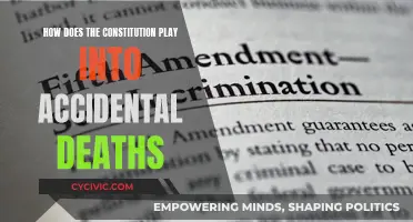 Constitutional Rights: Accidental Deaths and Legal Recourse