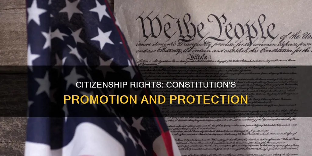 how does the constitution promote and protect american citizenship