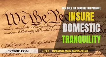 The Constitution's Role: Ensuring Domestic Tranquility