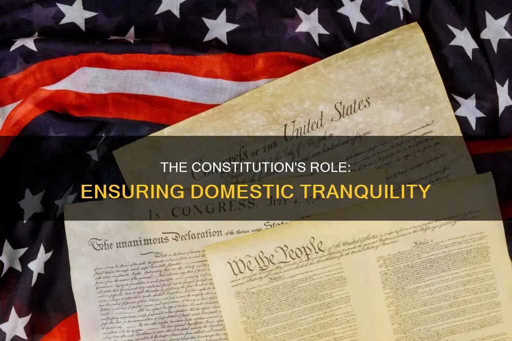 how does the constitution promote insure domestic tranquility