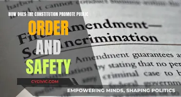 The Constitution: Ensuring Public Order and Safety