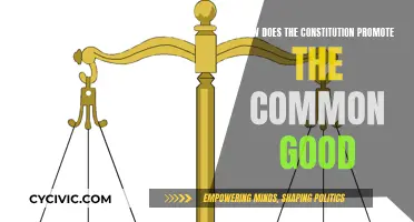 The Constitution: A Framework for the Common Good