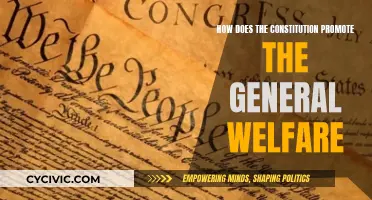 The Constitution: Welfare and Wellbeing