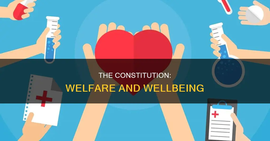 how does the constitution promote the general welfare