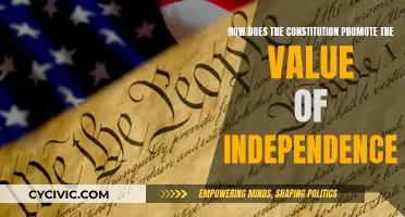 Constitution and Independence: A Mutual Relationship